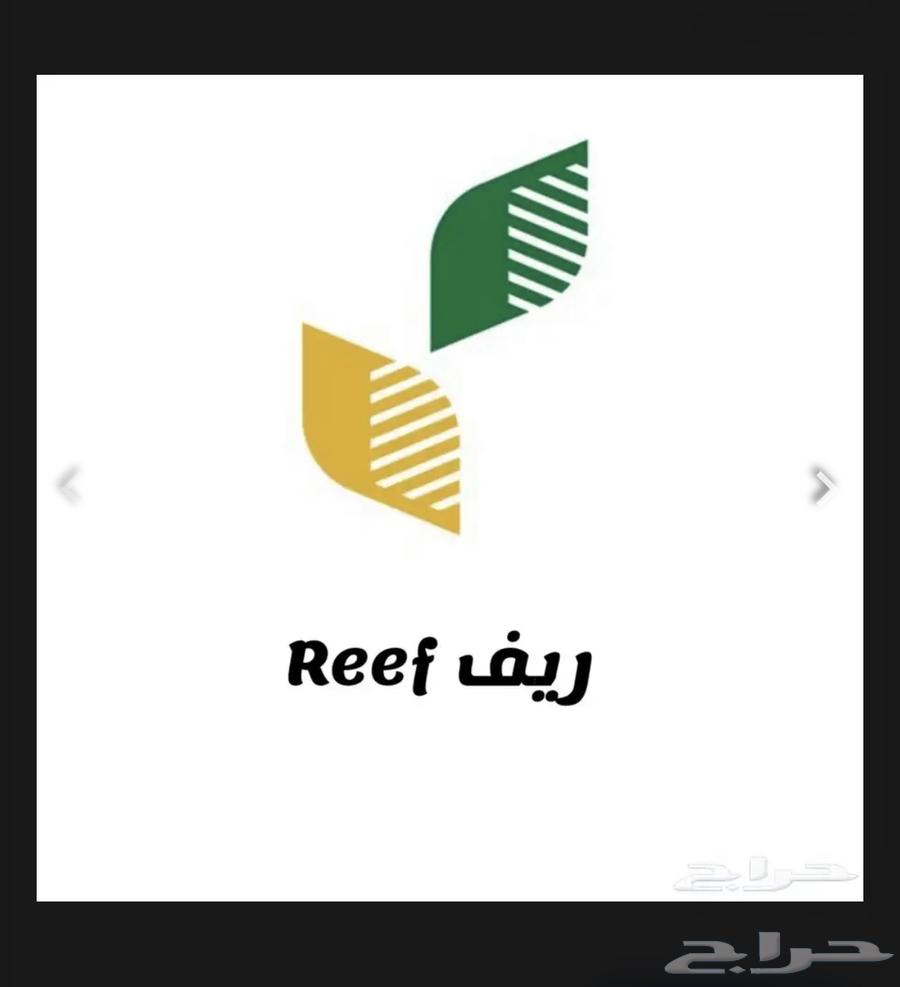 Citizen Account, Social Security, and RIF Support Registration64518100469762112