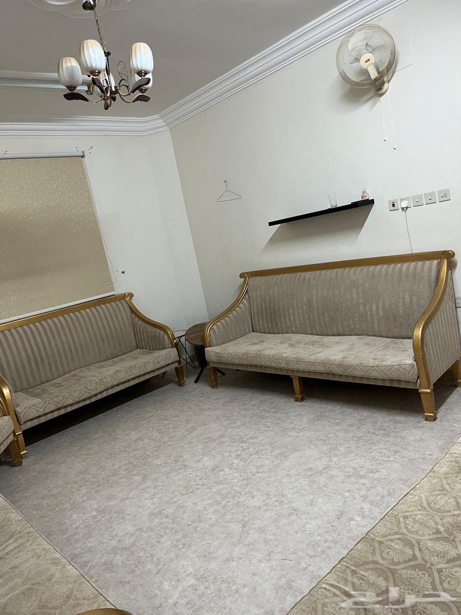 كنب للبيع64516438594177113