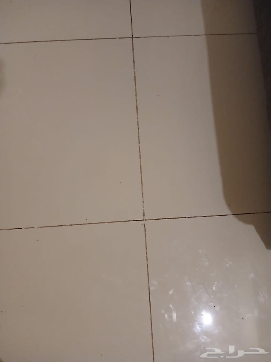 سيراميك مستعمل مقاس 60X60 سم بورسلين اللون بيج 150 ريال64514734067329110