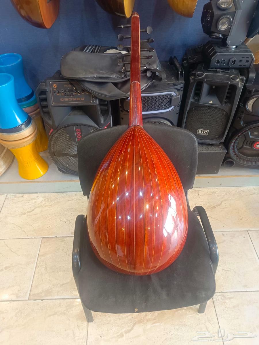 عود مصري للبيع64518018491779110