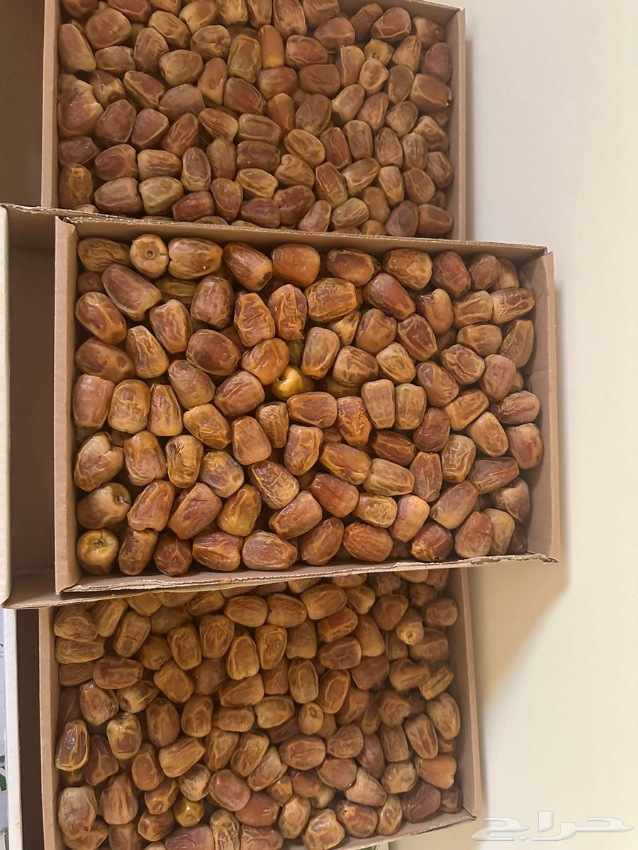 Sukkari Mutafel and fresh dates for sale, 3 kg64517248360065111