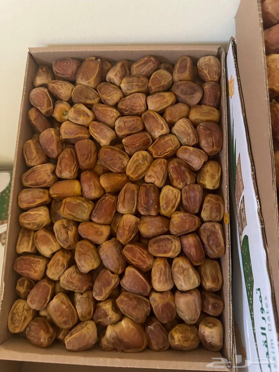 Sukkari Mutafel and fresh dates for sale, 3 kg64517248360065110
