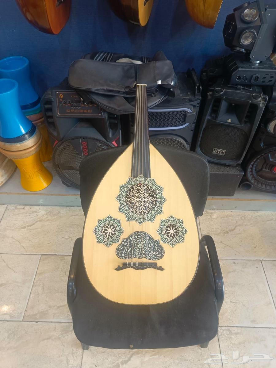 عود مصري للبيع64518018491779111