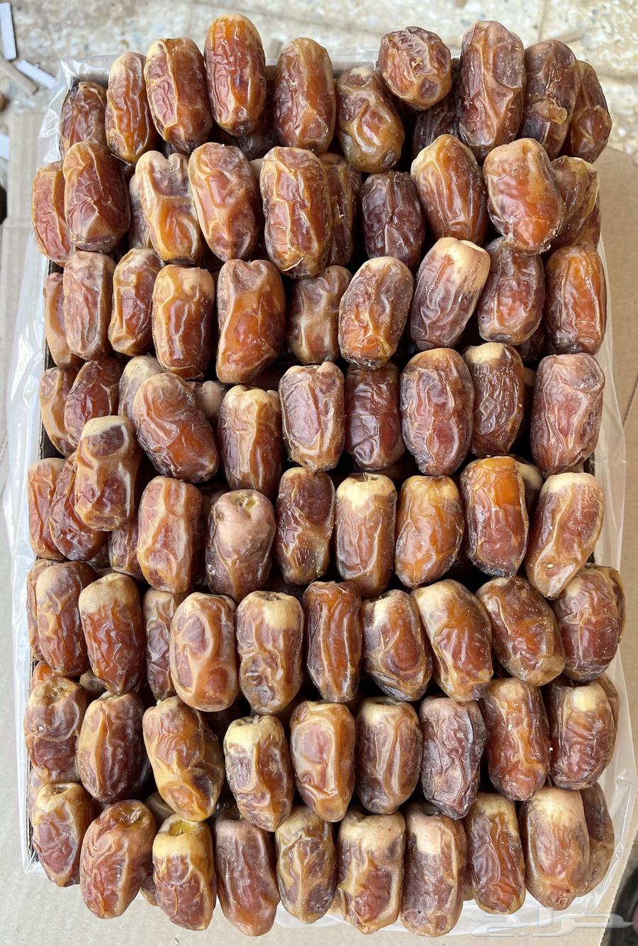 صقعي فاخر نظيف من المبيدات64513976468226110