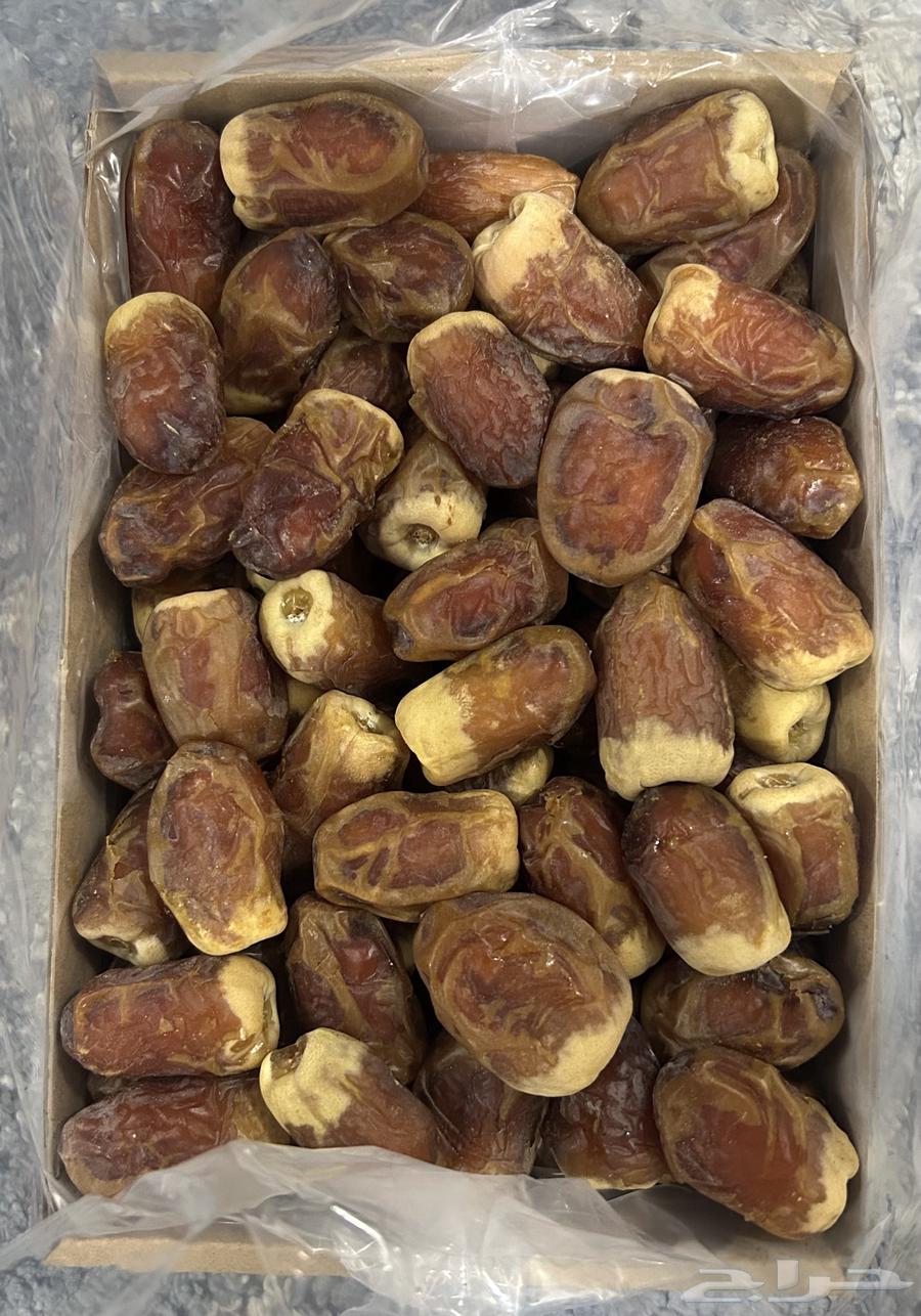 Saqi Dates64517533461762110