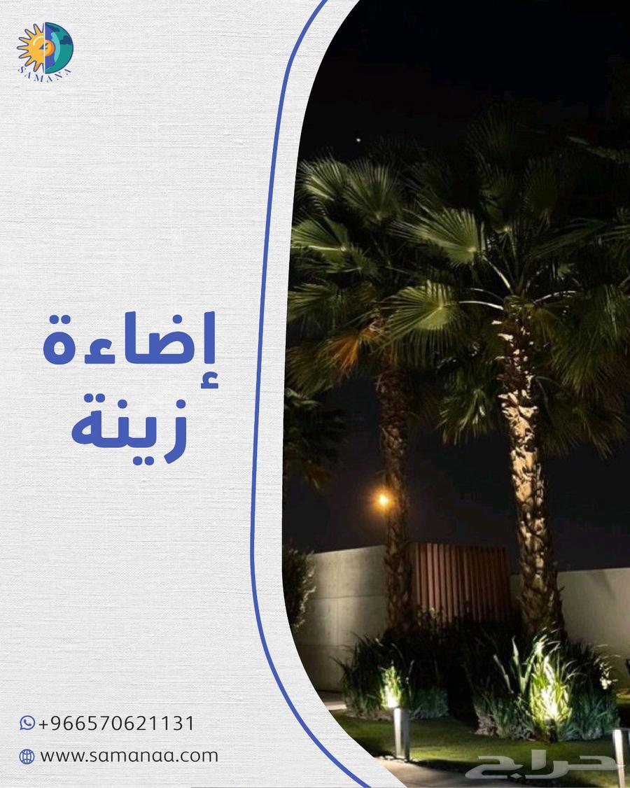 Solar-powered palm tree lights without any extensions64512580678275110