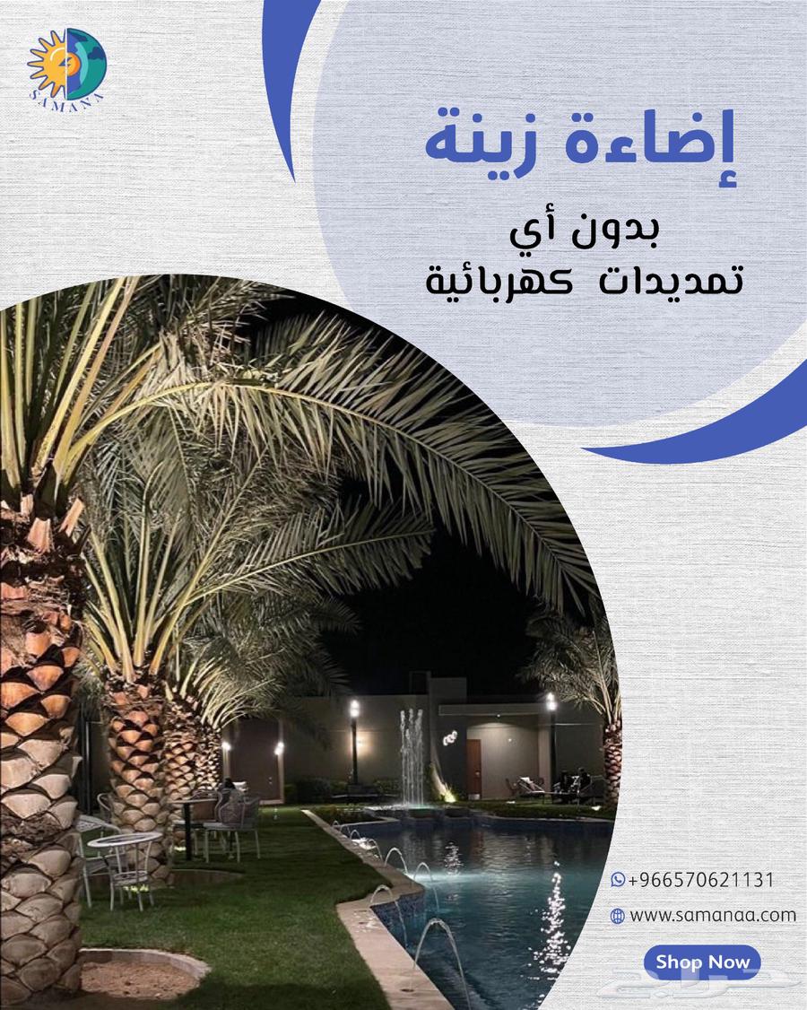 Solar-powered palm tree lights without any extensions64512580678275112