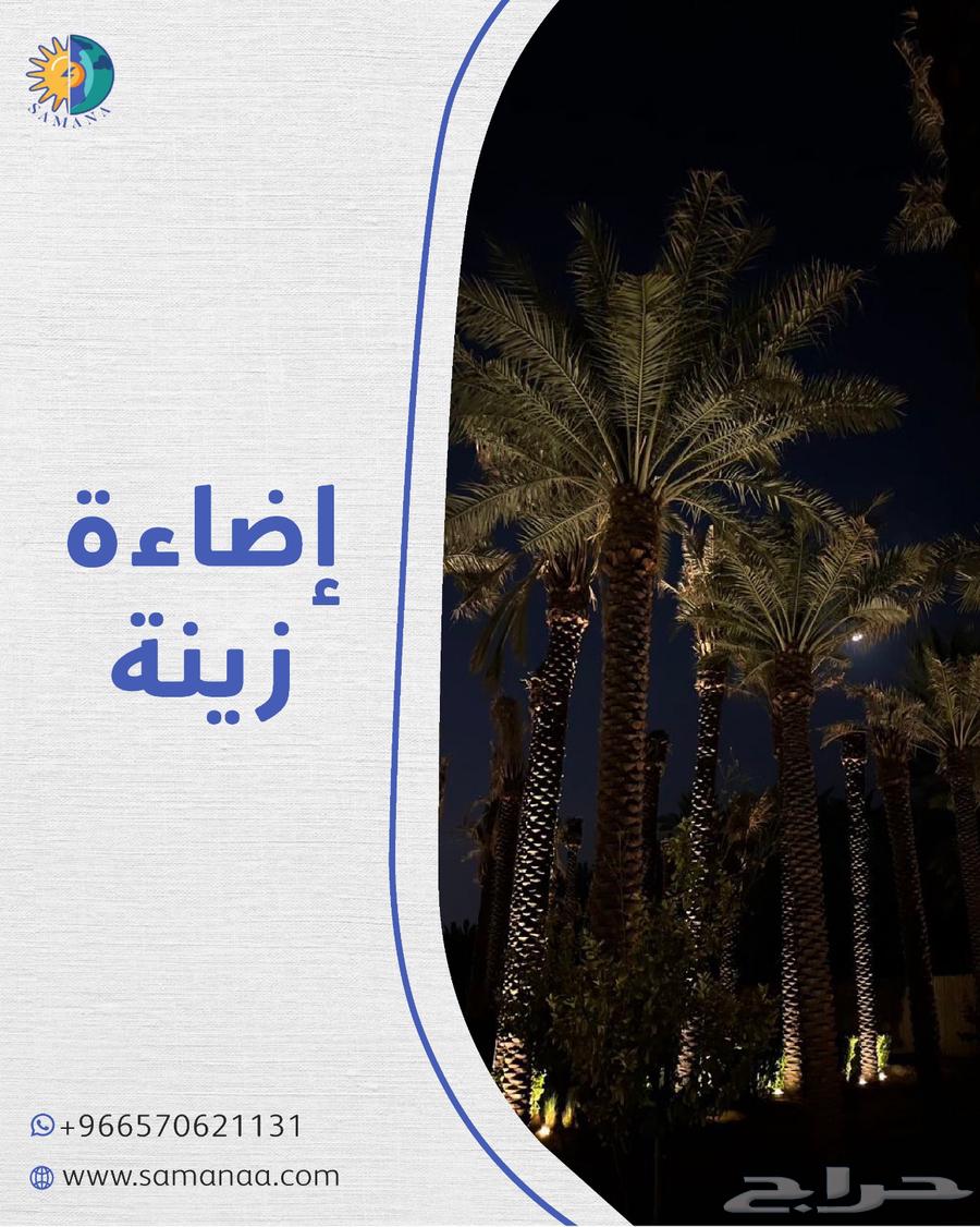 Solar-powered palm tree lights without any extensions64512580678275111