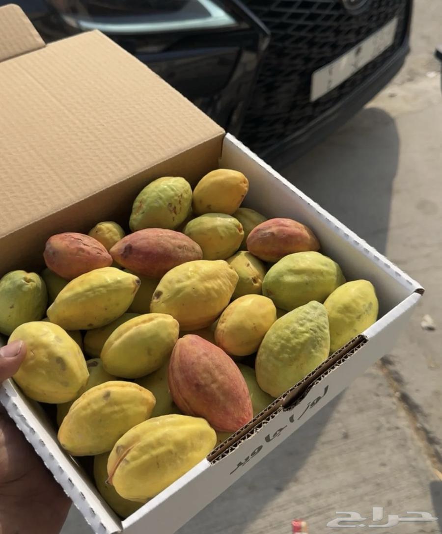 Luz64516197948929110