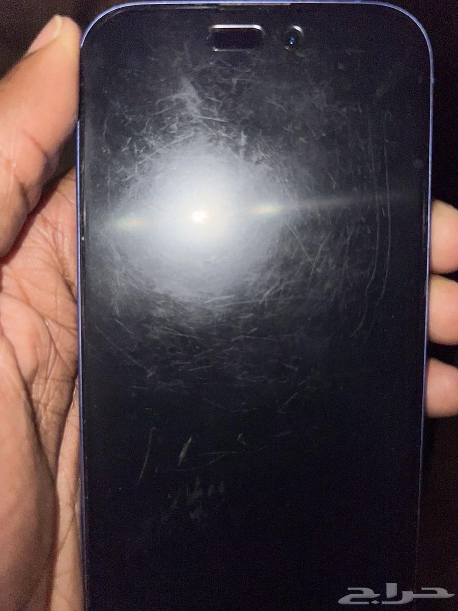 iPhone 16 Regular64510972619139112