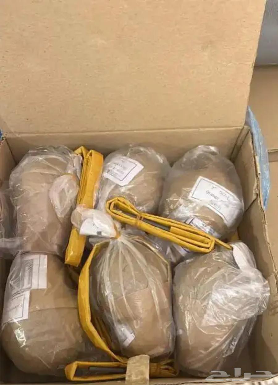 Obedient64511689524099113