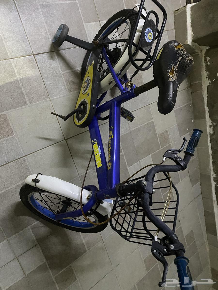 سياكل للبيع64516211919491113