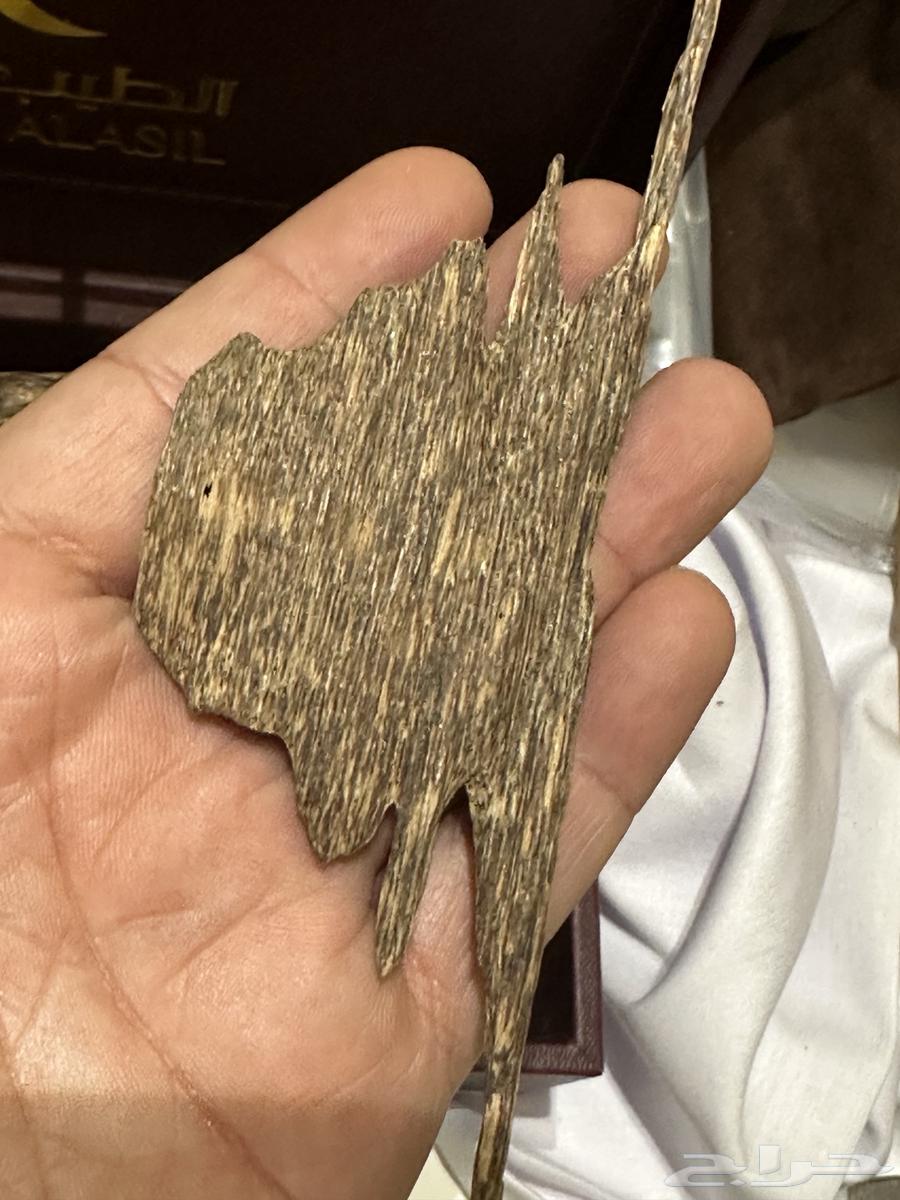 عود فاخر رائحة وثبات( تم البيع )64517477063042114