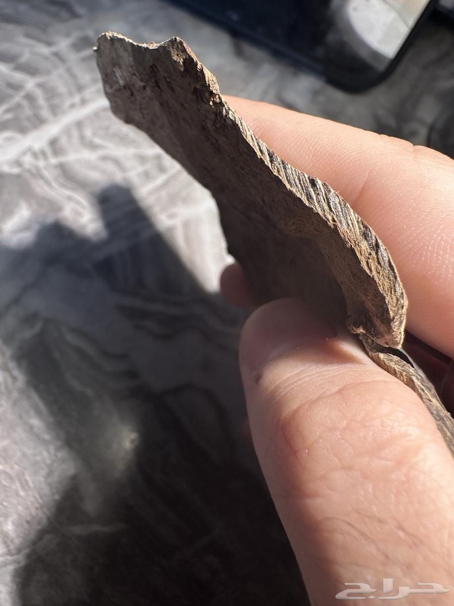 10.9 غرام كسرة عود بورمي طيبة64515136684033110