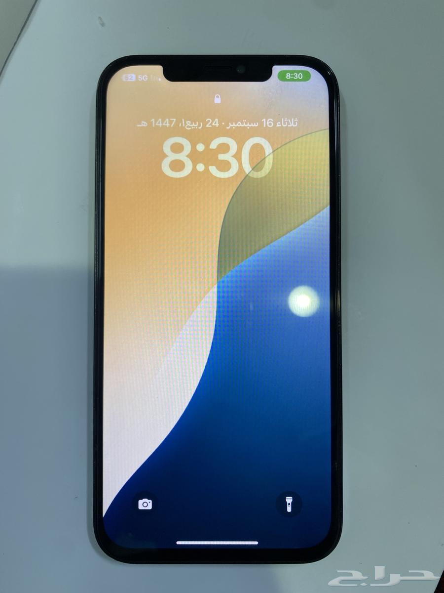 iPhone 12 Pro Max64517347977730110