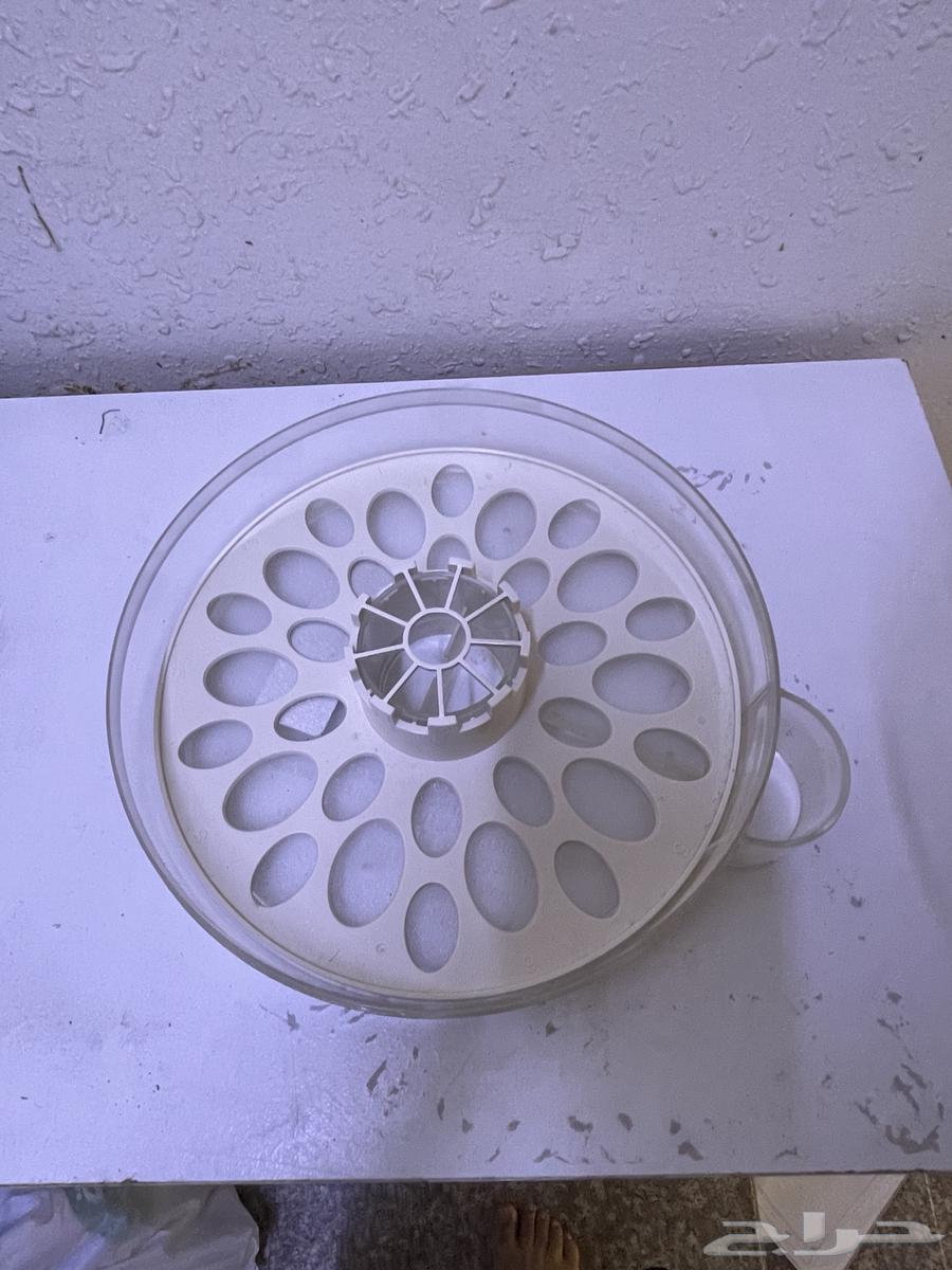 Incubator with parrots64513894223746112