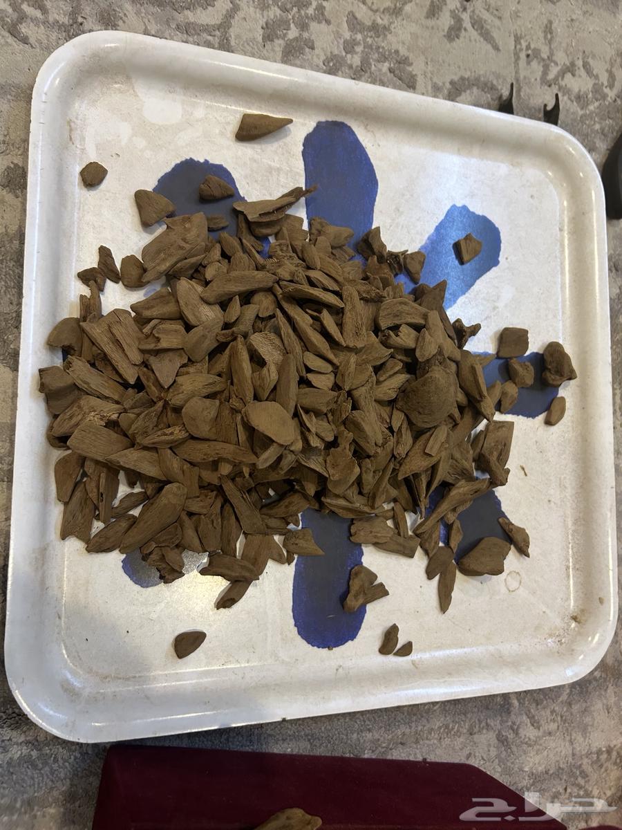 عود موروكي اصقون نكهة قديمة vip64515375198977111