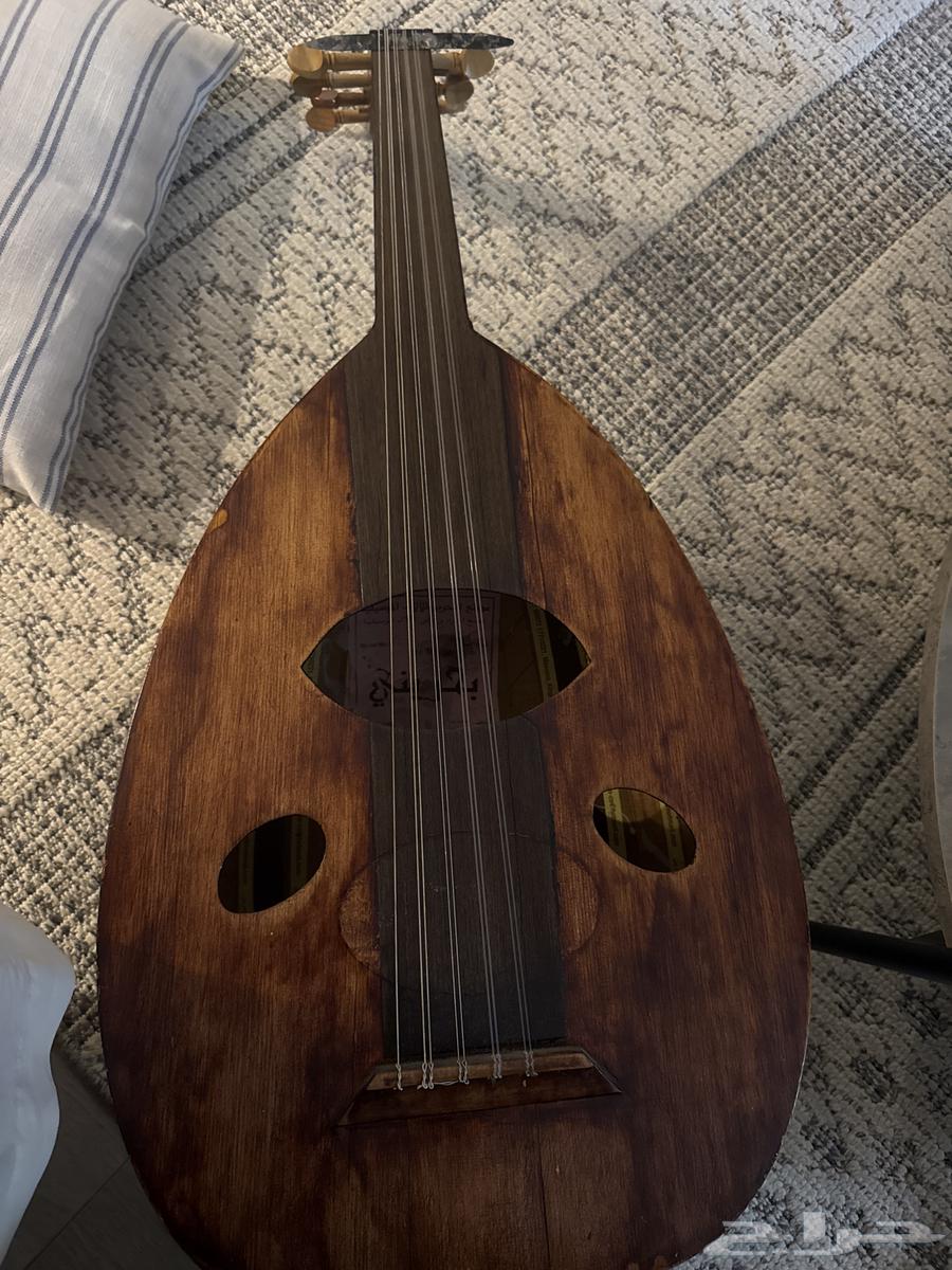 عود بحريني العود للبيع. العود يحتاج لصيانه64515835778051110