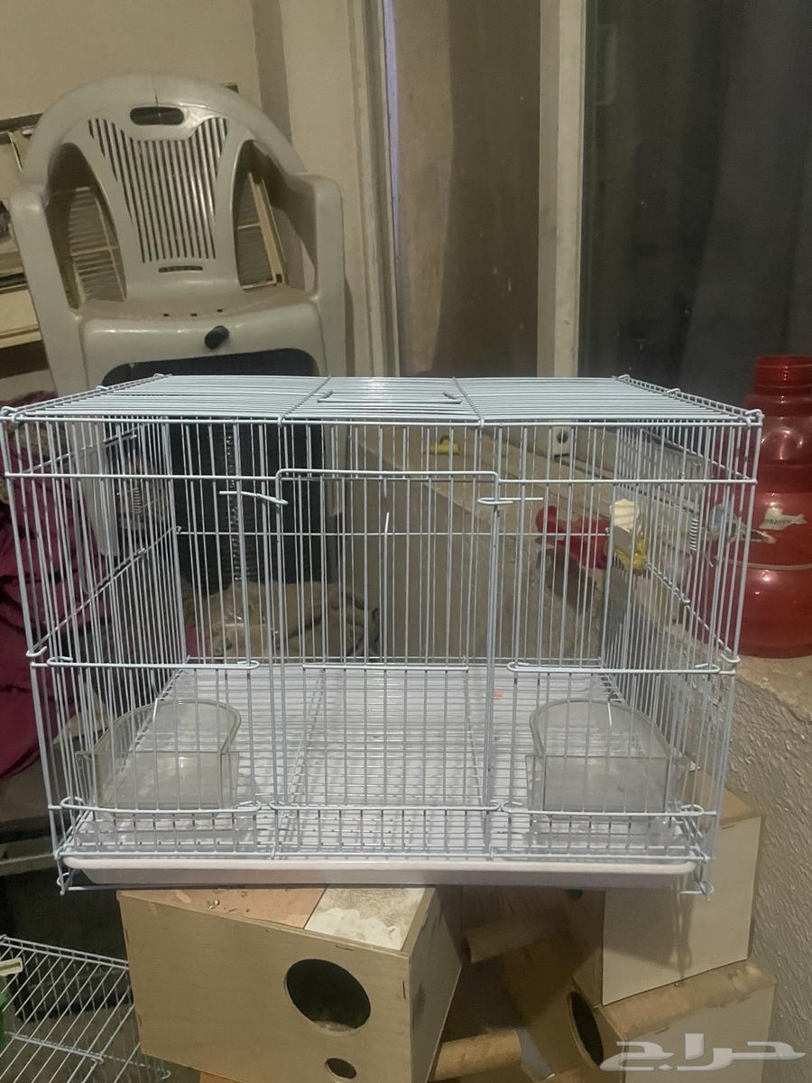 للبيع 3 اقفاص بحالة ممتازه64516921728003111