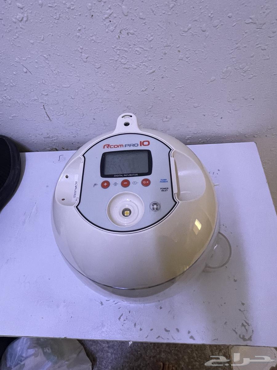 Incubator with parrots64513894223746111