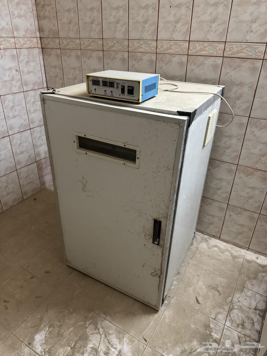 فقاستين للبيع64516225806209113