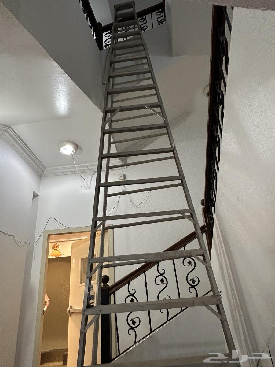 Jeddah64518563617025111