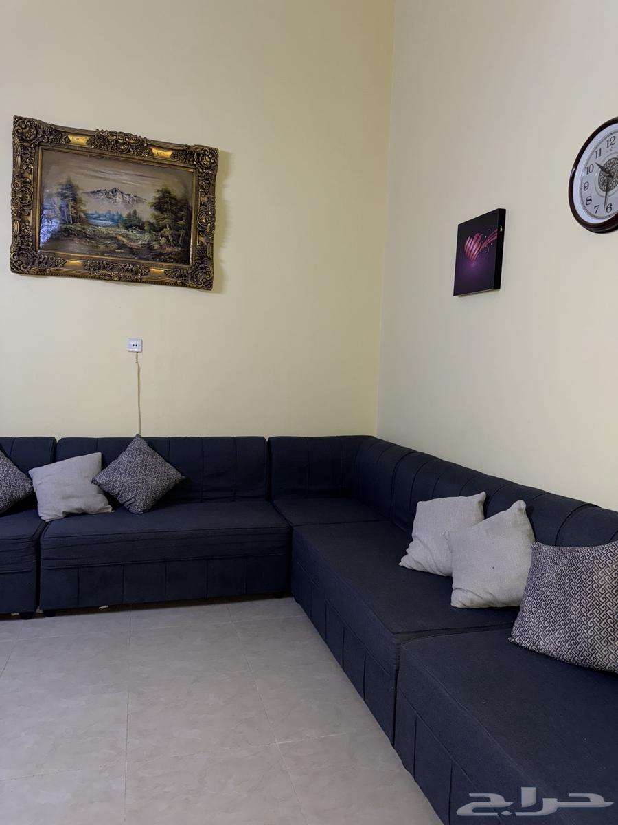 بريده حي الريان لتواصل واتس64512037125123112