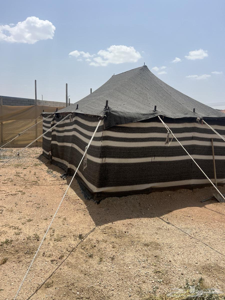 بيوت شعر للبيع64513543164035110