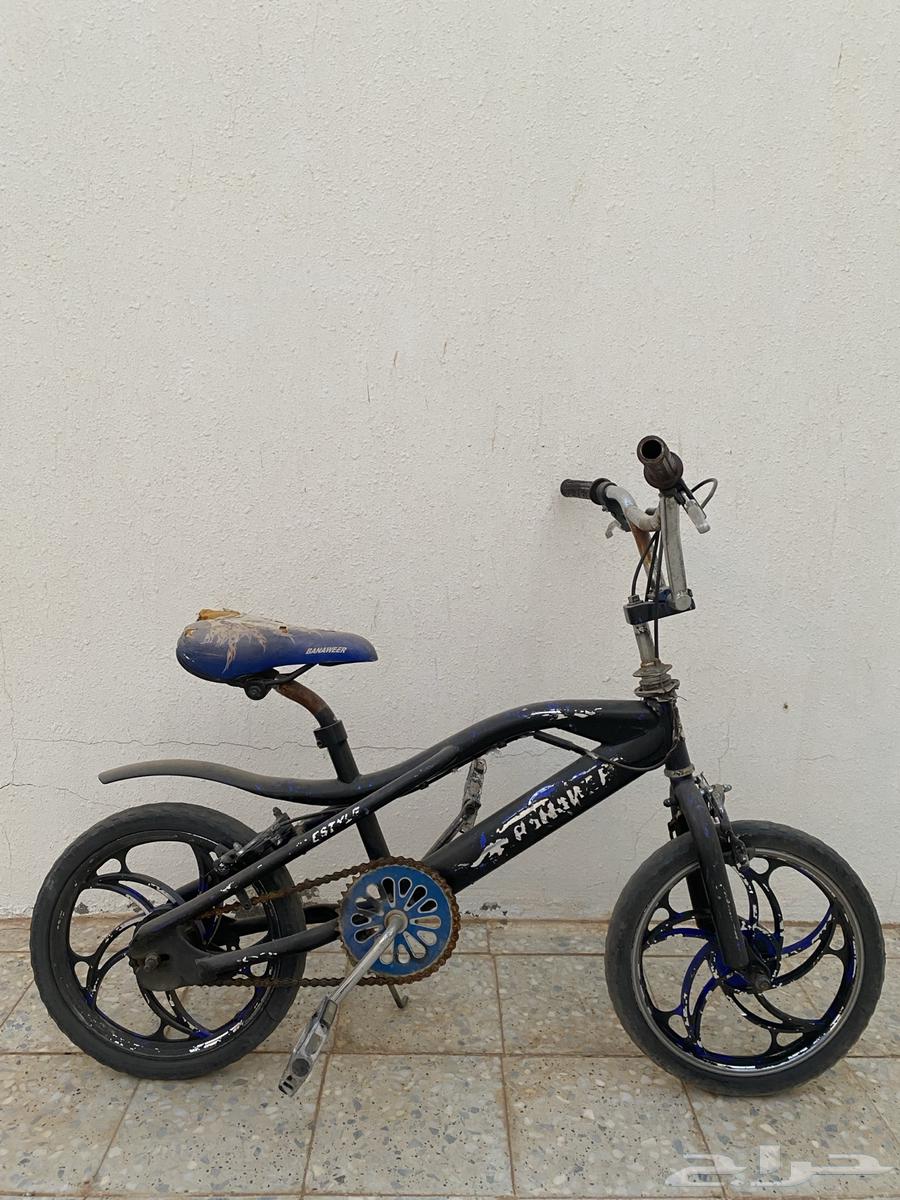 للبيع سيكل كوبرا مقاس 1664516757914241110
