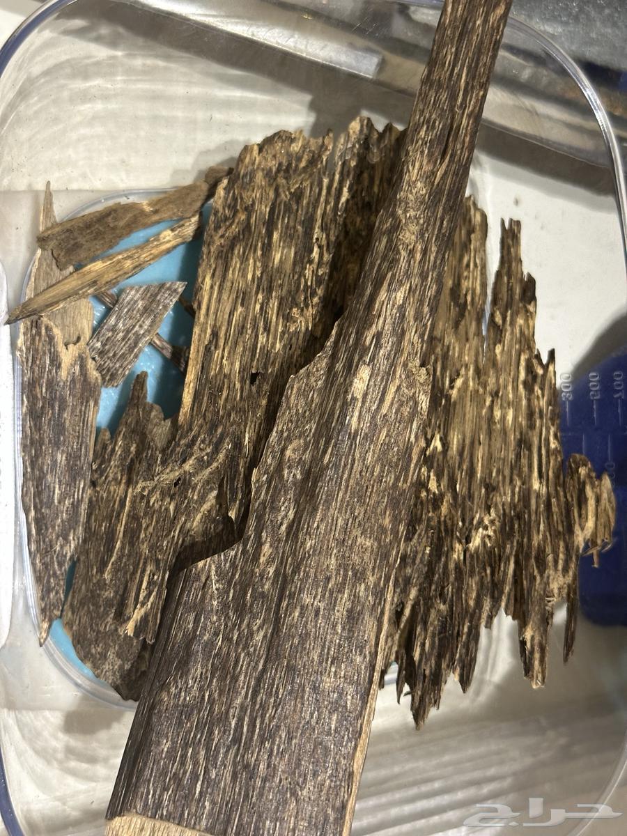 عود فاخر رائحة وثبات( تم البيع )64517477063042111