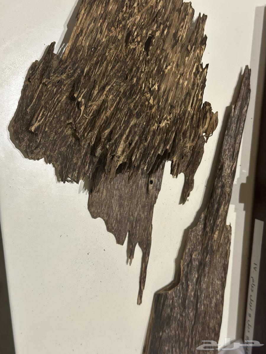 عود فاخر رائحة وثبات( تم البيع )64517477063042110