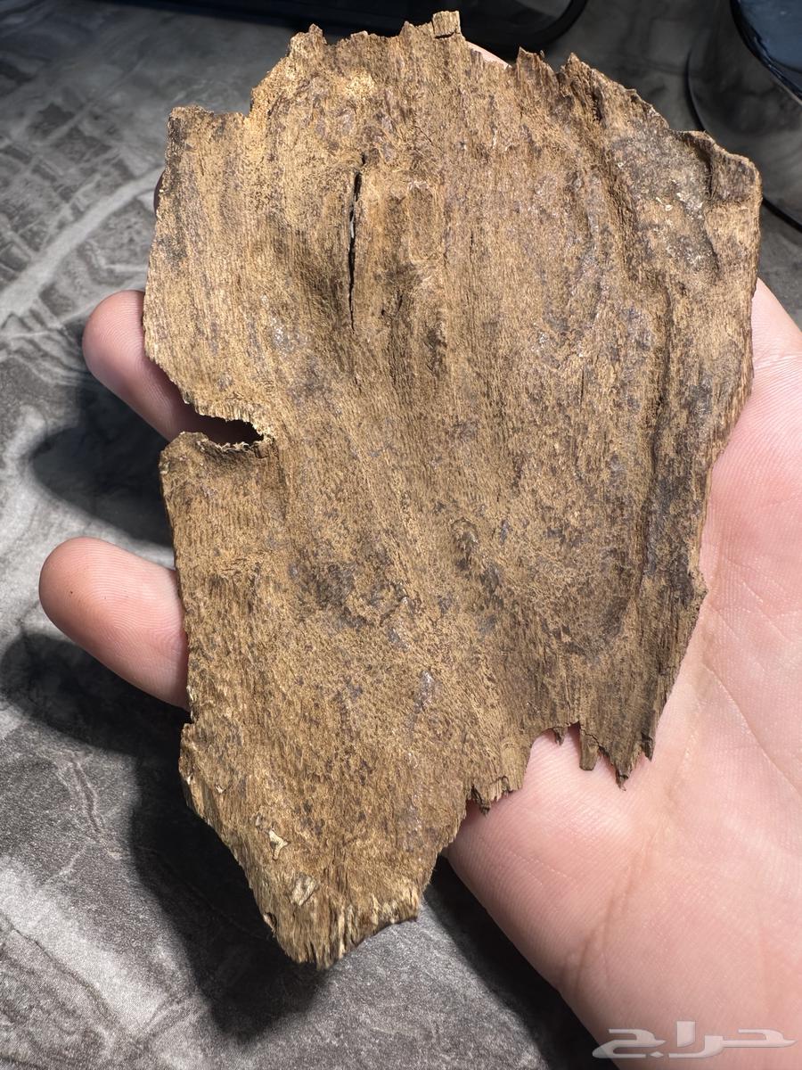 10.9 غرام كسرة عود بورمي طيبة64515136684033111