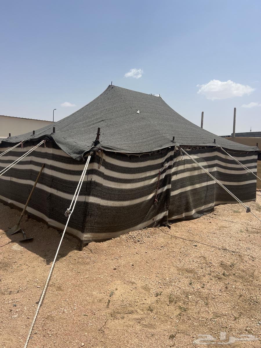 بيوت شعر للبيع64513543164035111