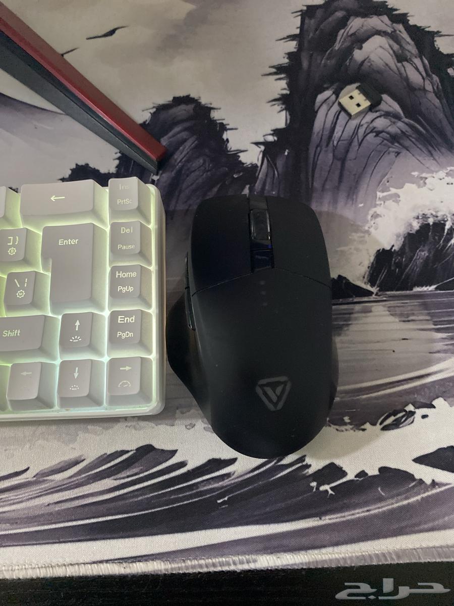 Keyboard Mouse64517234348034111