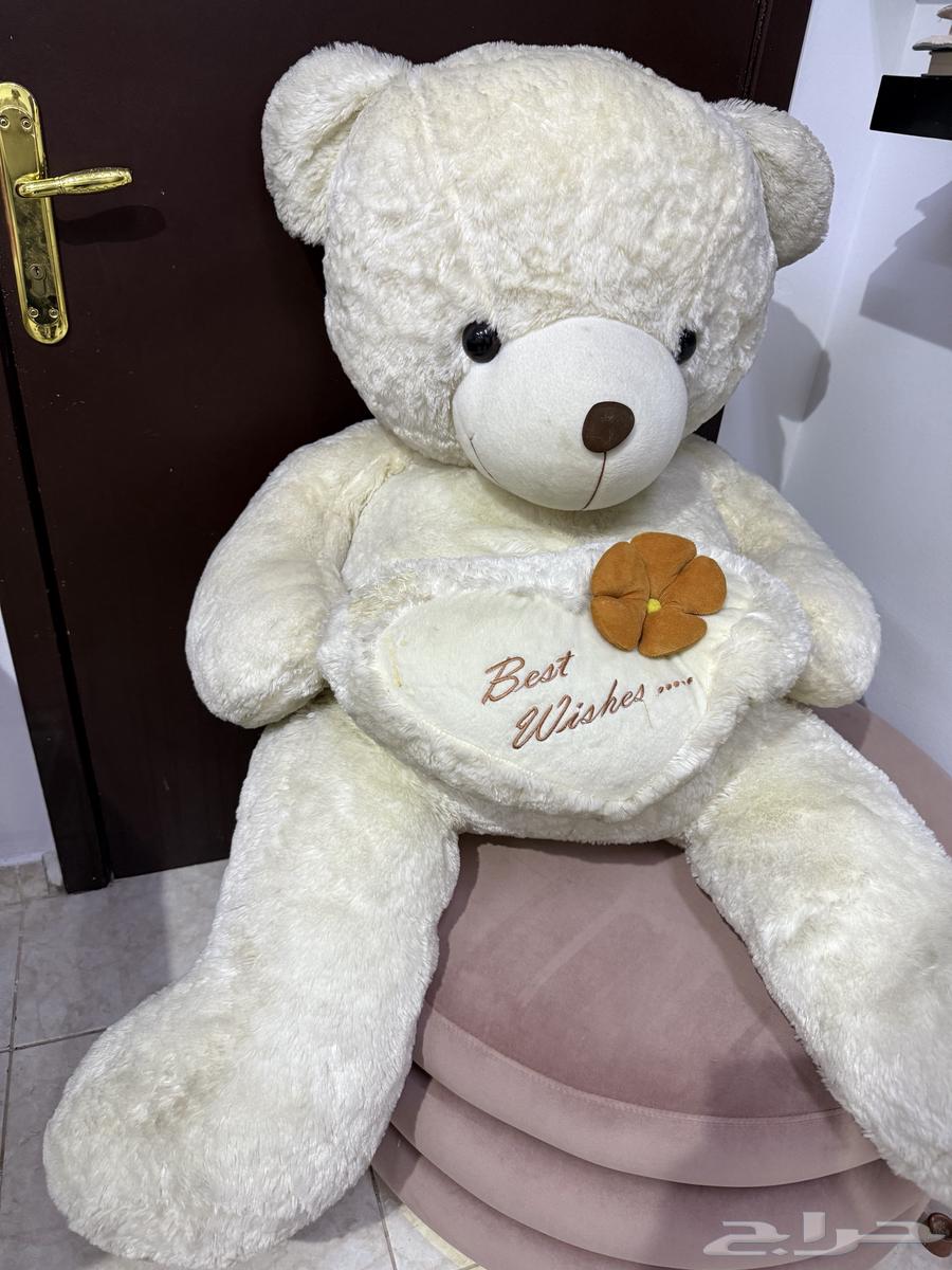 دبدوب64516658336131111