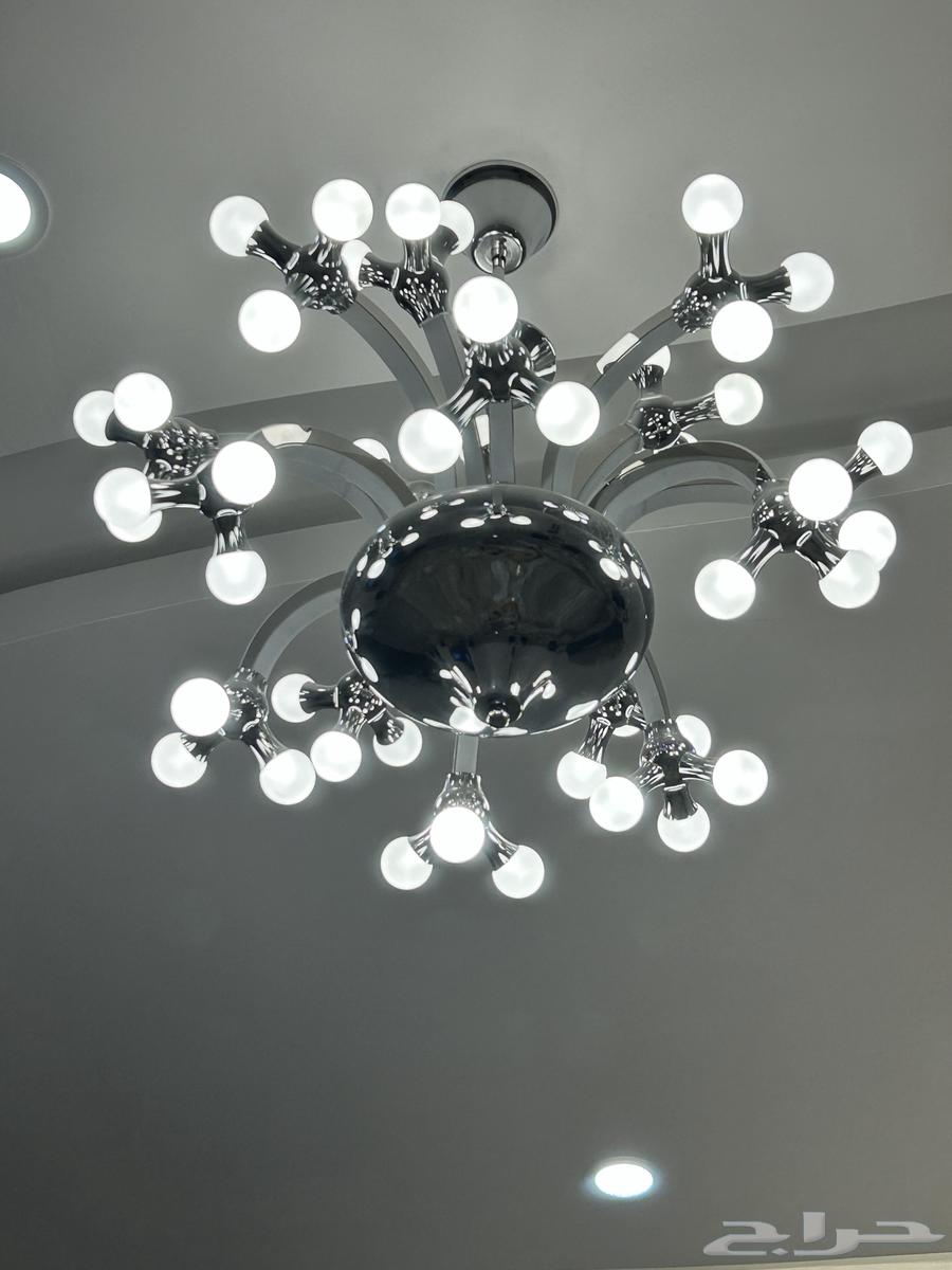 Chandelier or Ceiling Light64511647212545114