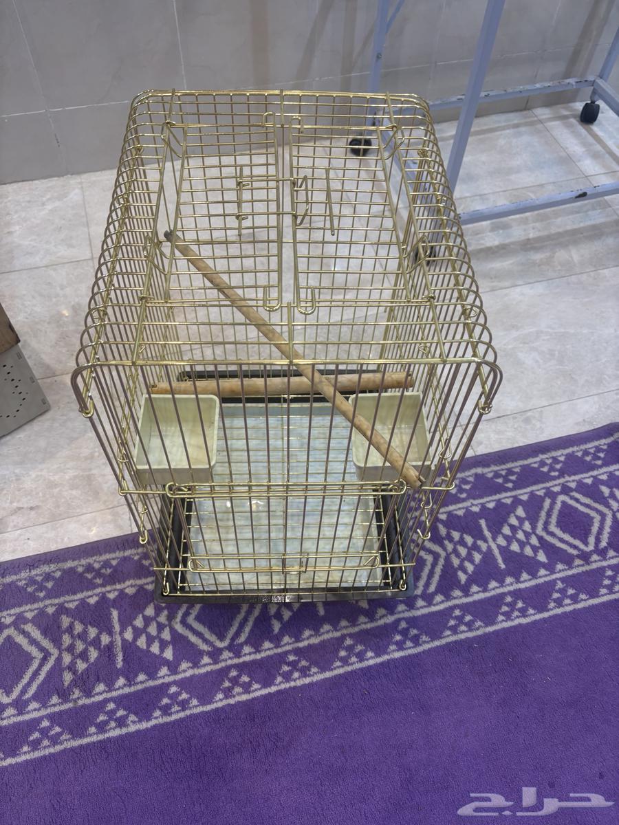 استاند وقفص وبياضه64513543157122111