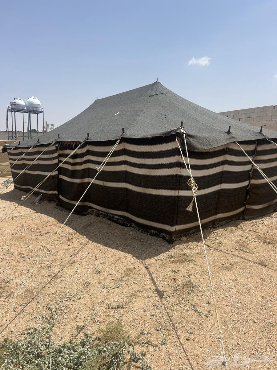 بيوت شعر للبيع64513543164035113