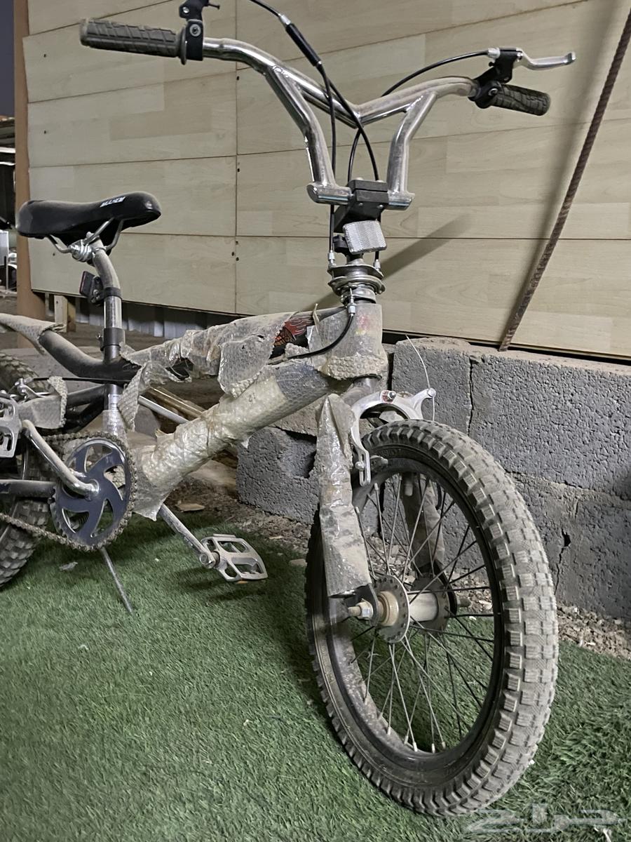 سيكل كوبرا نضيف64517705114626111