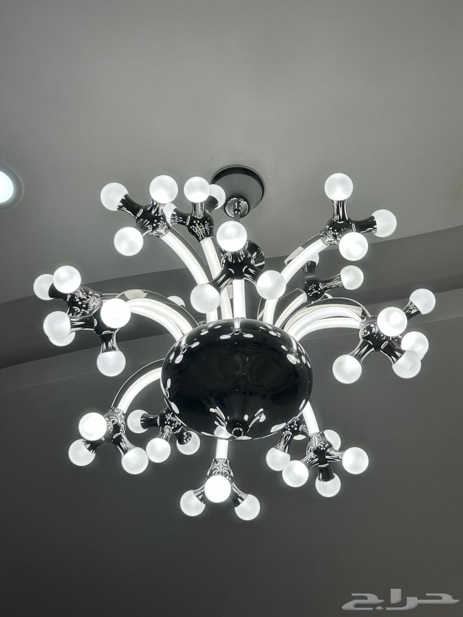 Chandelier or Ceiling Light64511647212545110