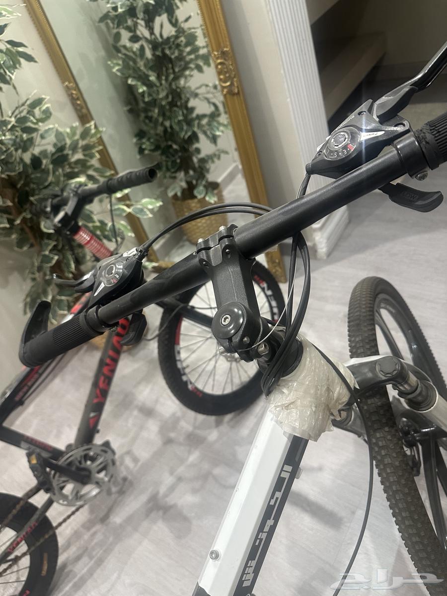 Clean bikes64515961772929114