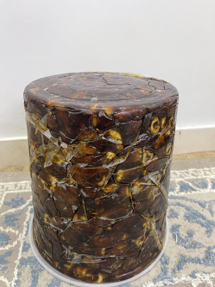 Tamir Berini64518245879682111