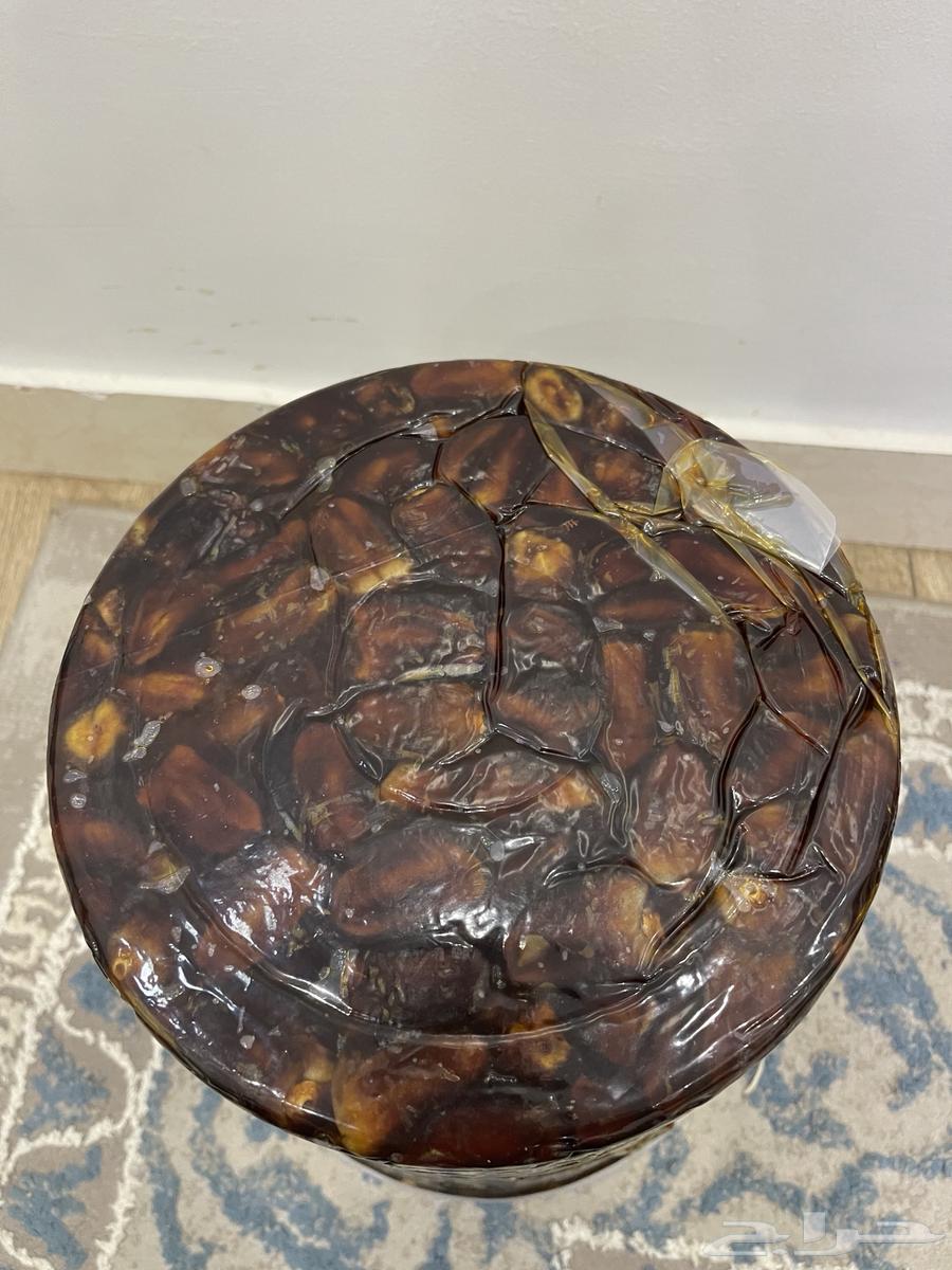 Tamir Berini64518245879682110