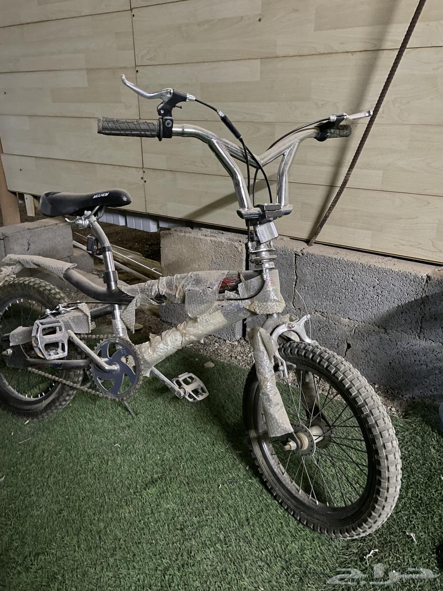 سيكل كوبرا نضيف64517705114626113