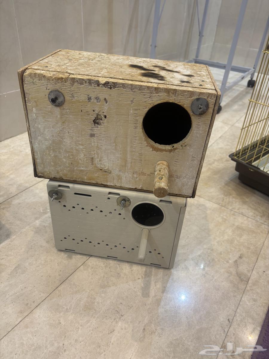 استاند وقفص وبياضه64513543157122113