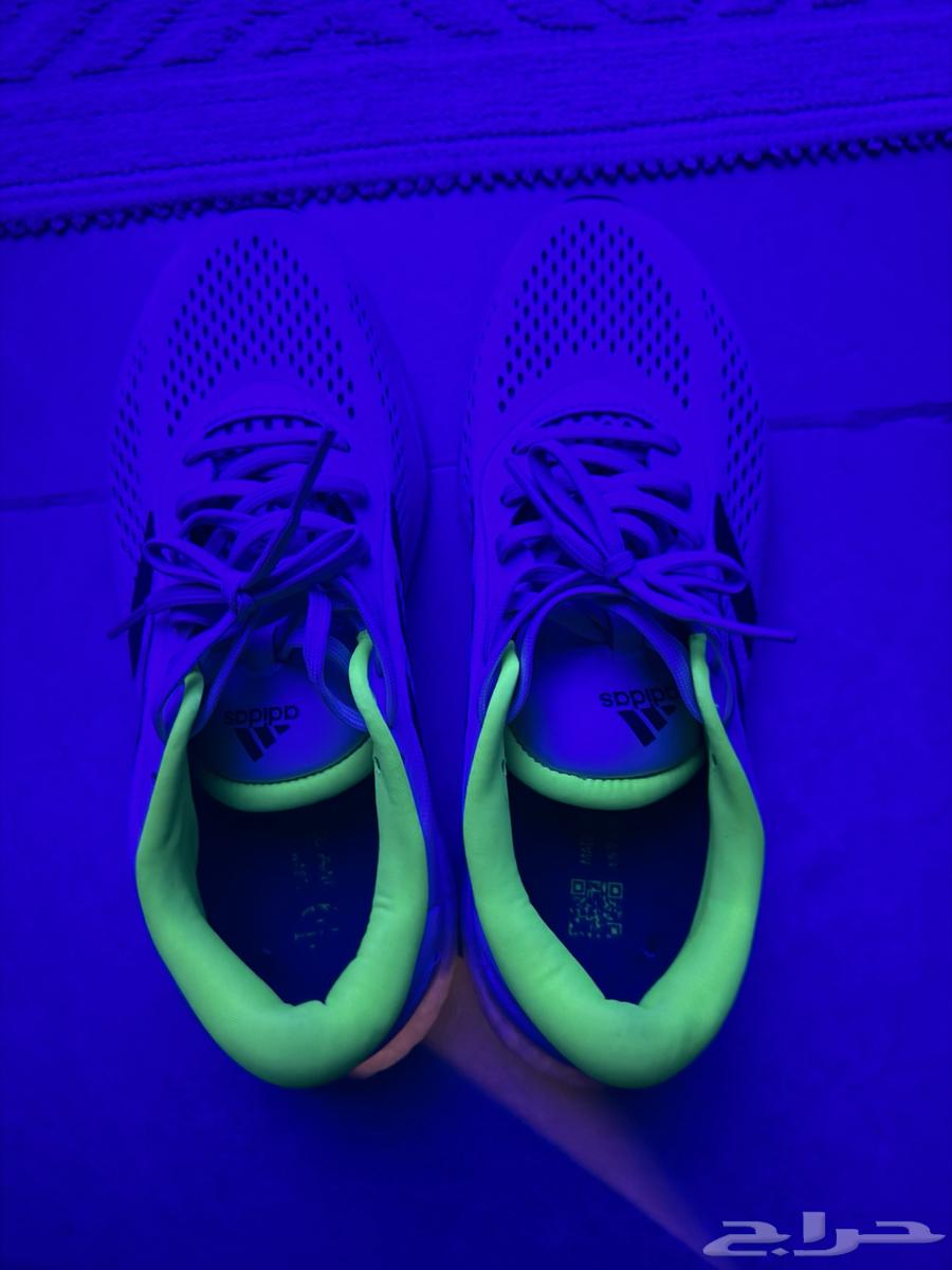 شوز اديداس اصلي64512636987649111