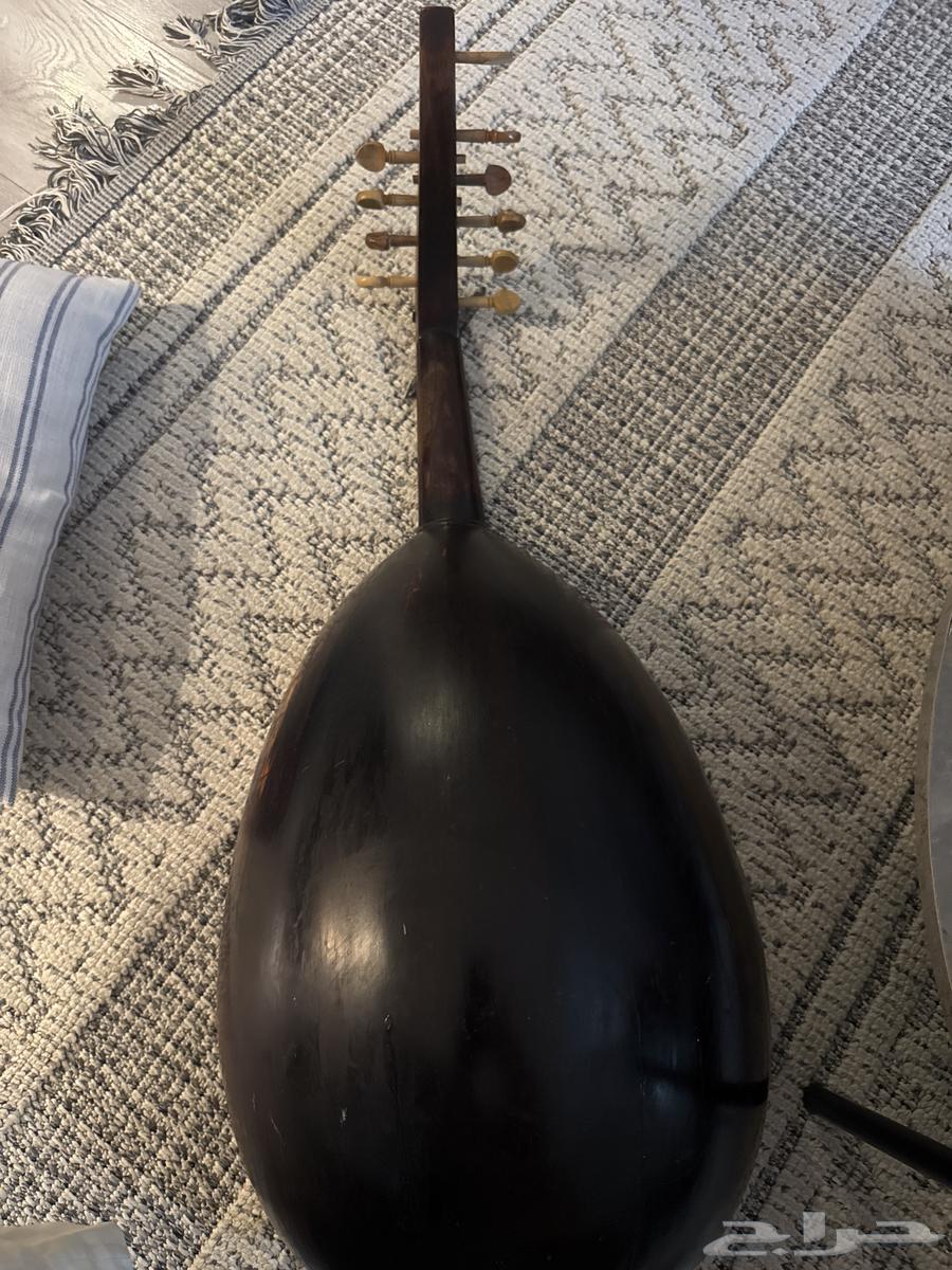 عود بحريني العود للبيع. العود يحتاج لصيانه64515835778051111