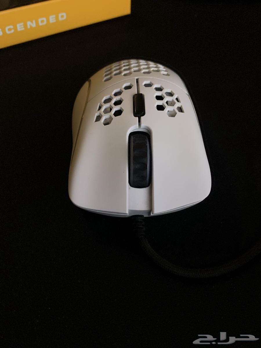 Glorious Model D Mouse64515850093186110