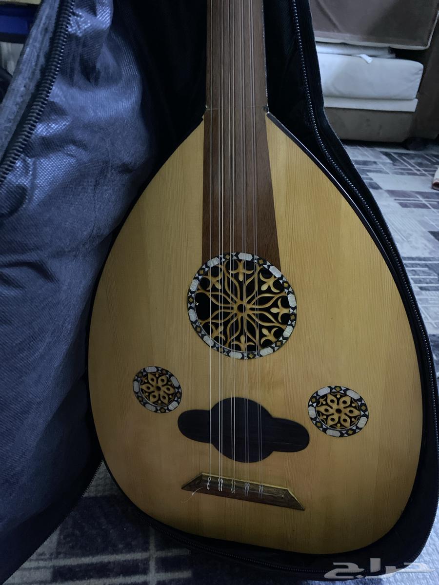 عود للبيع64517392133890110