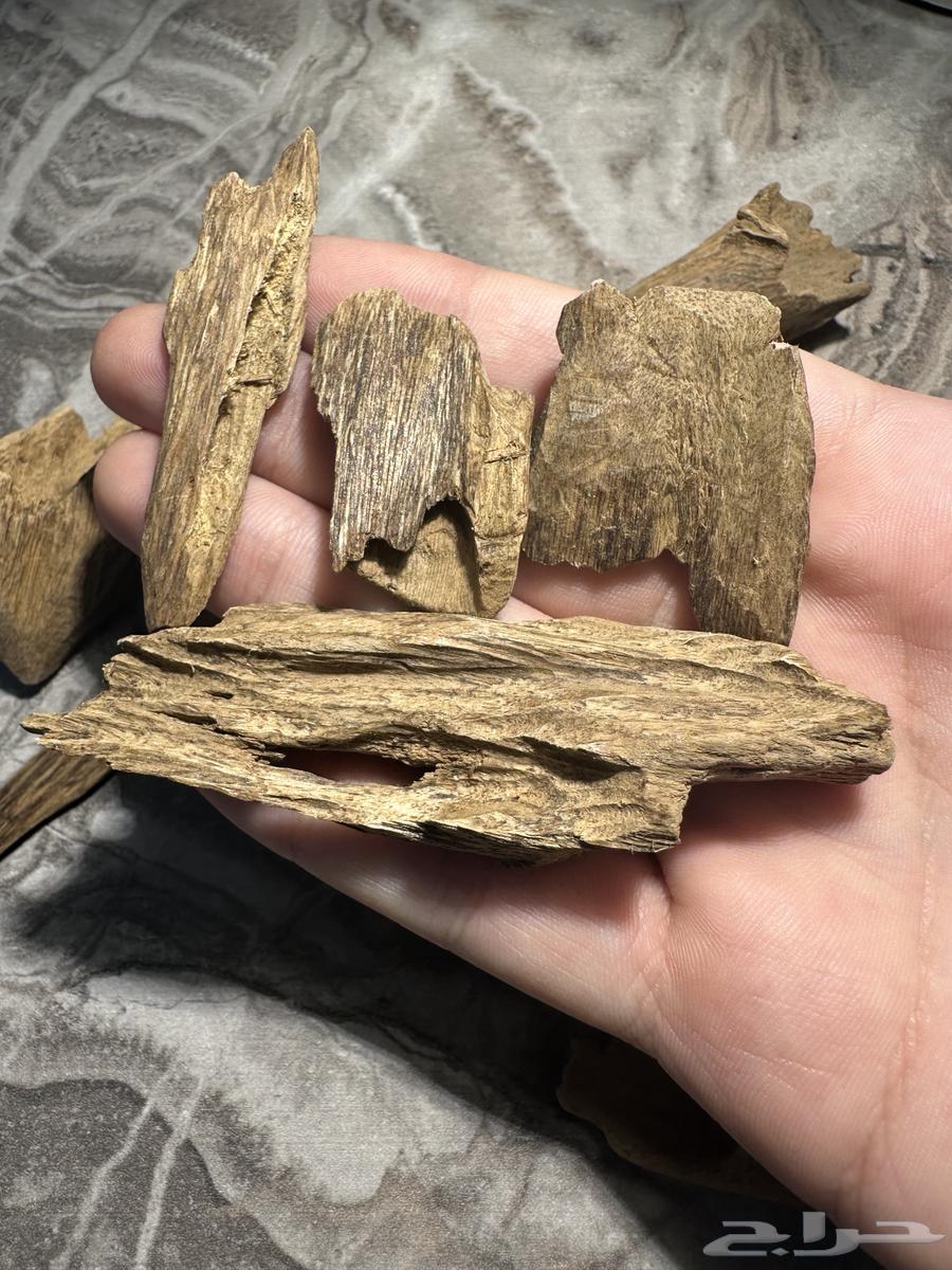 عود ارياني سوبر مرتفع 39.50 غرام64514955522306114